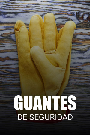 proteccion33
